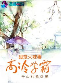 高冷学霸追妻火葬场