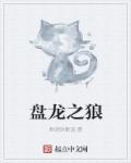 盘龙之法则