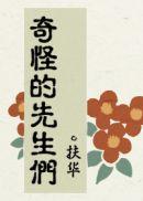 奇怪的先生们视频