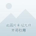 穿越异界的无敌者