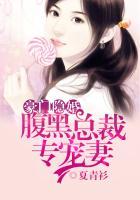 豪门隐婚腹黑总裁专妻宠免费阅读