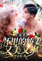秦爷怀里的娇妻昰大佬